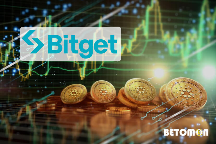 What is Bitget Exchange