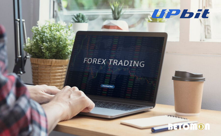 Review of Upbit Exchange 2024