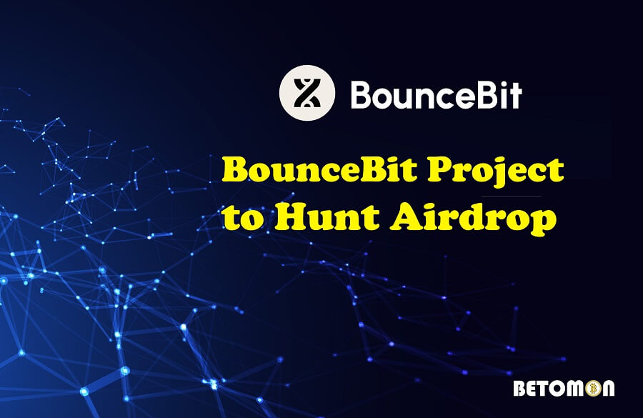 Direction for joining BounceBit project