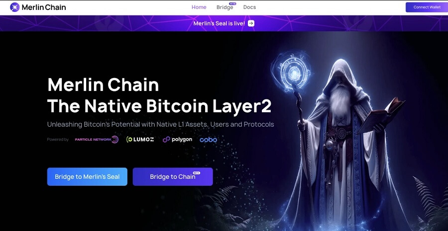 What is Merlin Chain (MERL)