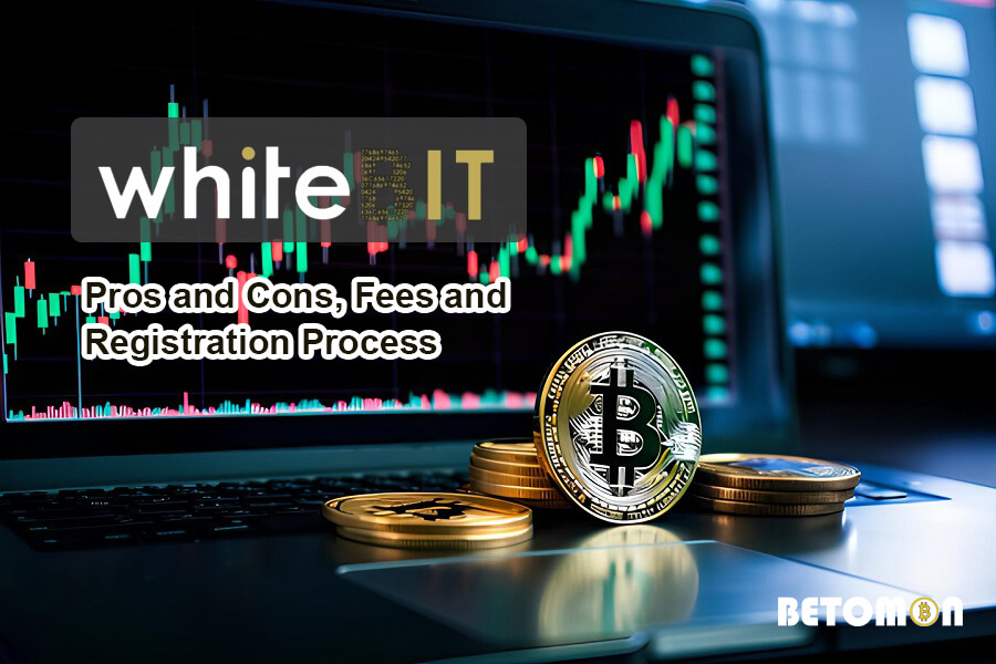 What is WhiteBIT?