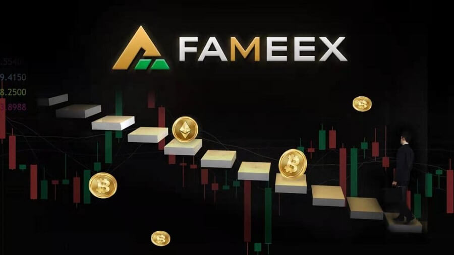 What is FameEX