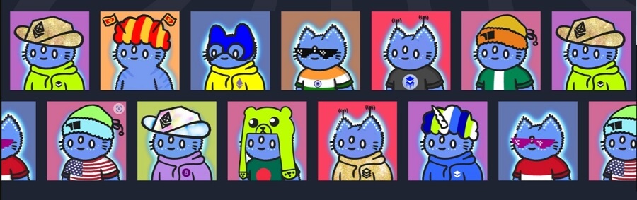 What is Smart Cat?