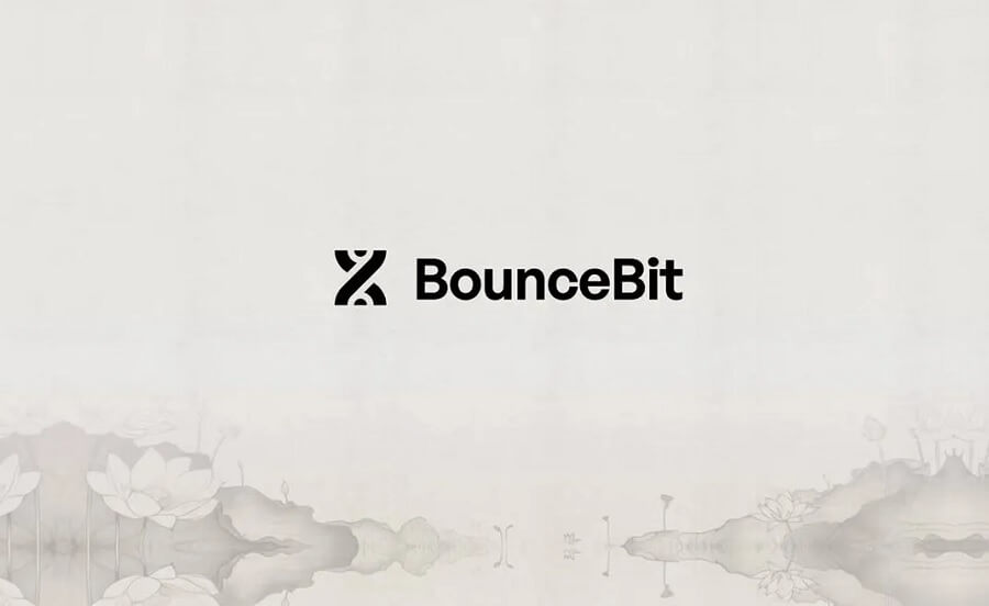 Overview of BounceBit