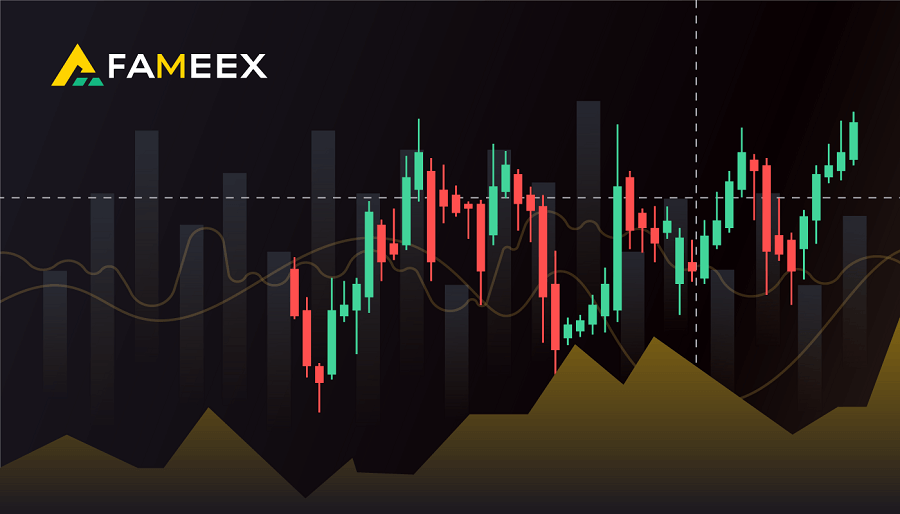 What is FameEX