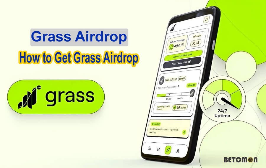 what is grass