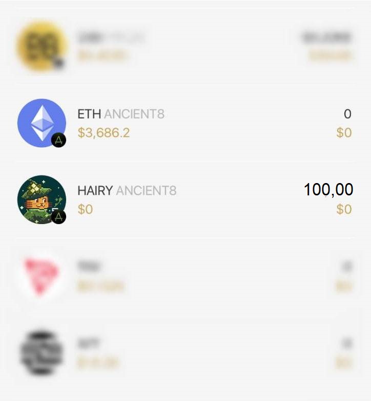 The number of HAIRY token in the Coin98 wallet