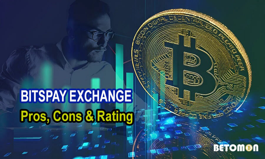 Overview of Bitspay - Pros, Cons & Rating