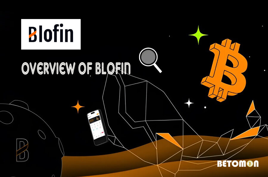 Overview of Blofin 2024