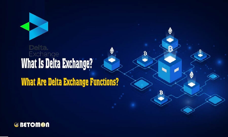 What Are Delta Exchange Functions