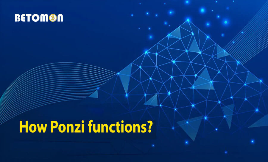 How Ponzi functions