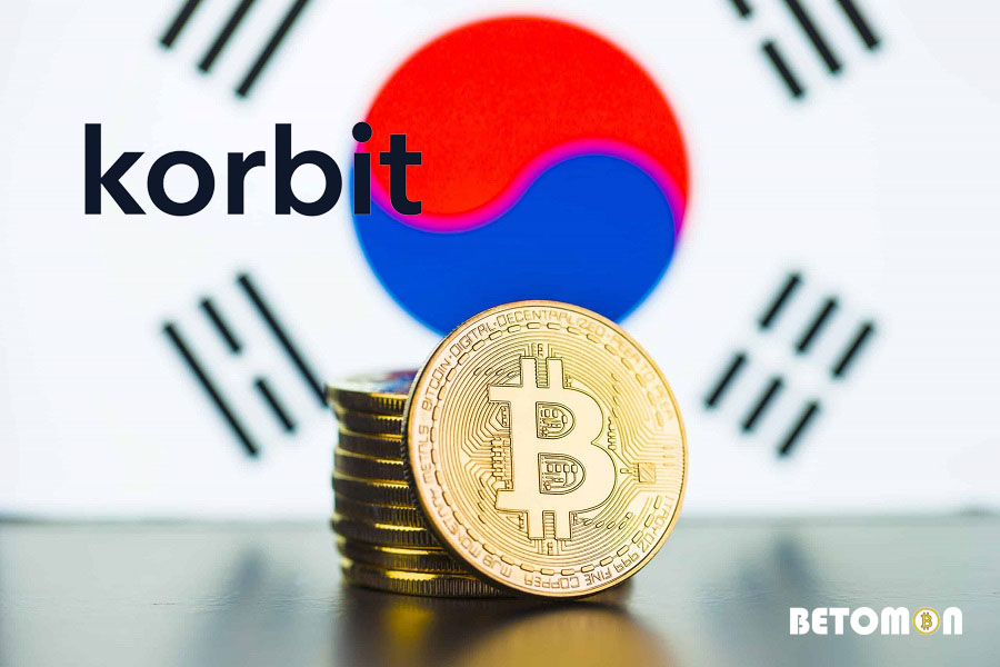 What Are Korbit Features?