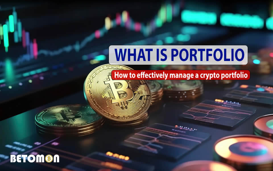 What is a portfolio