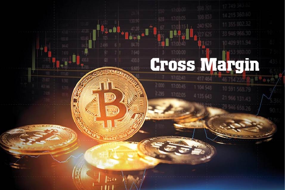 Cross Margin