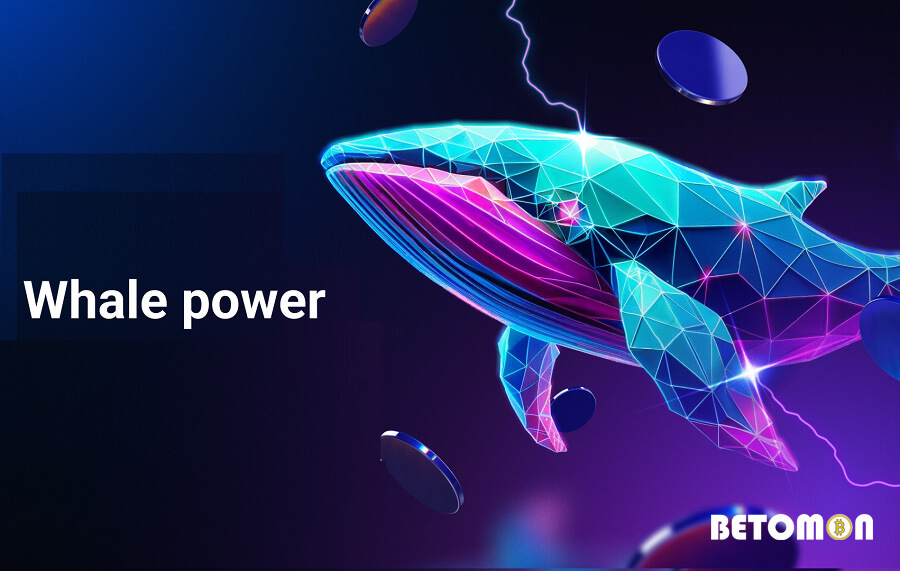 Whale power