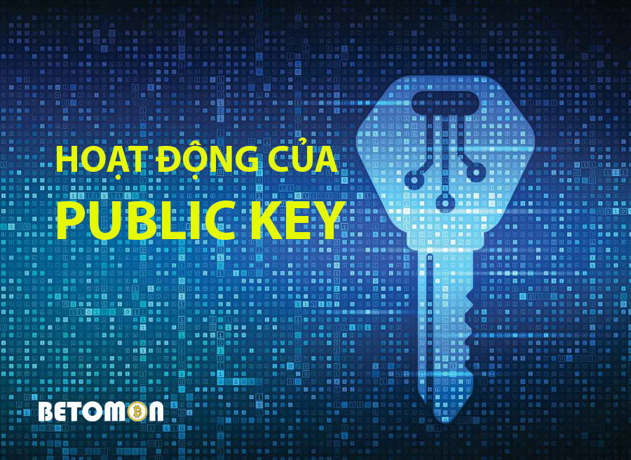 Public key
