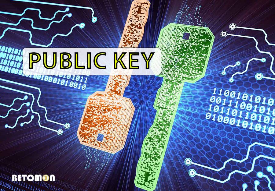 Public key