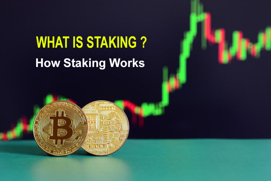 staking là gì
