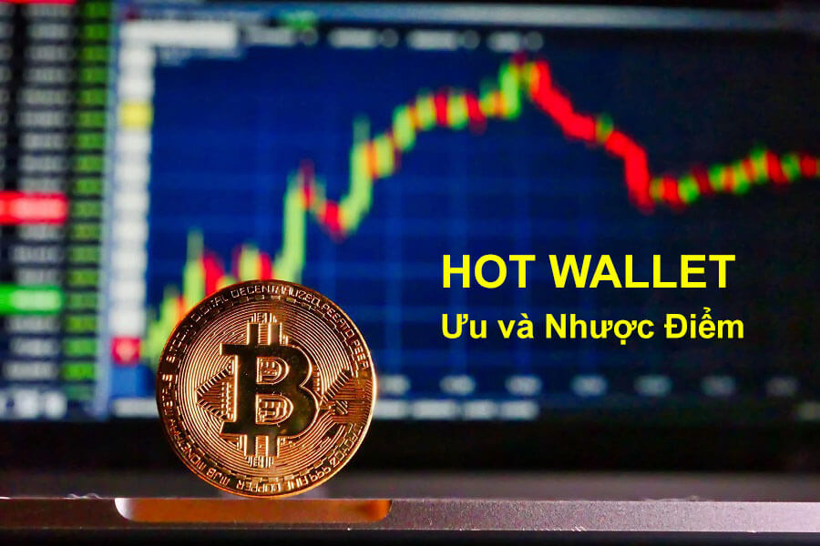 ưu và nhược điểm của ví nóng