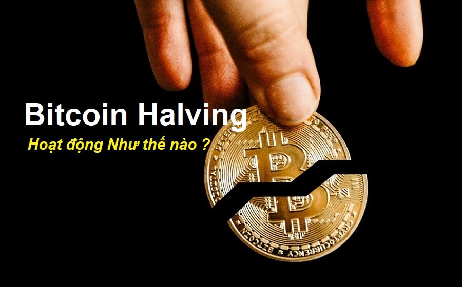 bitcoin halving