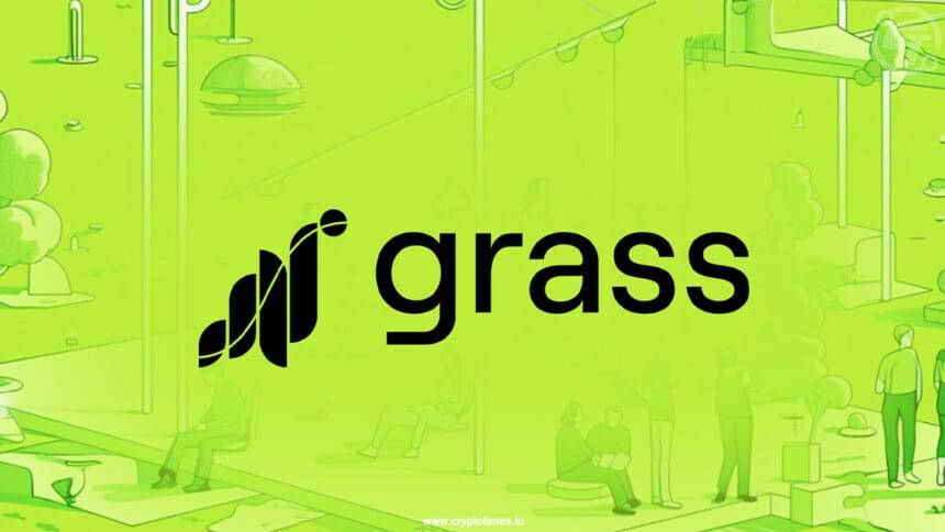 grass
